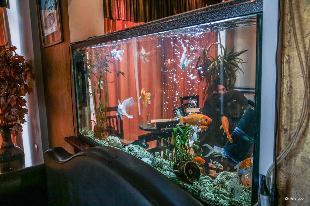 Hotel Regency Görice Dış mekan fotoğraf